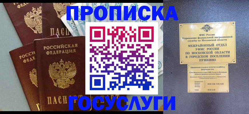 прописка гарантия в Зеленоградске